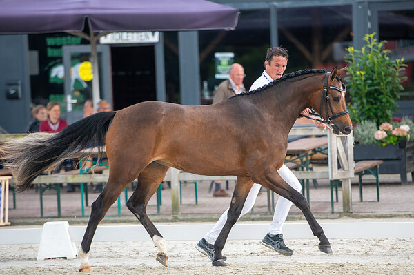 Regionale Keuring Tolbert