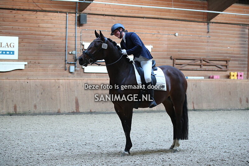 PV Midland Dressuur 22-11-2025 11.15 uur