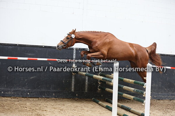 5 Skyway (Highway TN x Dianta v. Mr Blue)