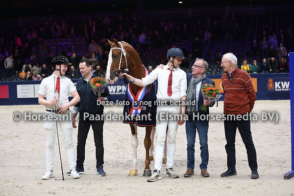 01-02-25 KWPN HK tuigpaard 2e bez, primering en kampioenschap