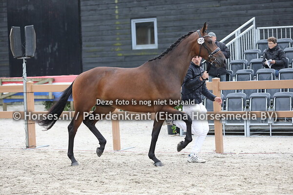 125 Robijn Enginia van Kairos