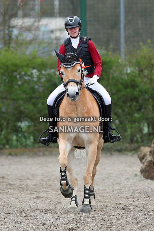 Haflinger Ver.DAH West 16-04-2023 springen