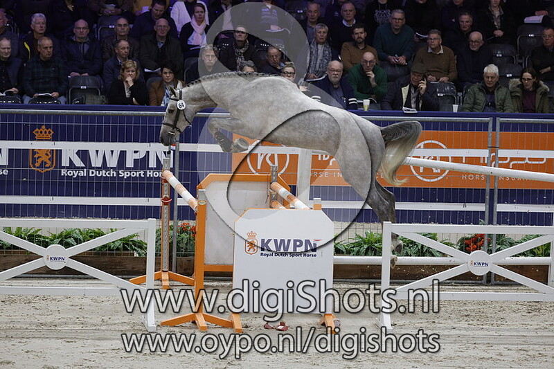 For Fellini RBF Z v. For Treasure - 064