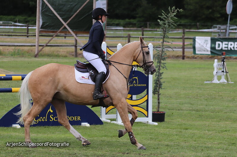 Hippisch Holtrijk Grolloo 05-07-2019 Wolden Cup 5 jarigen