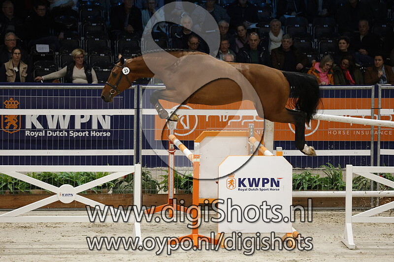 Vaccobreaker M v. Chacco Blue - 023