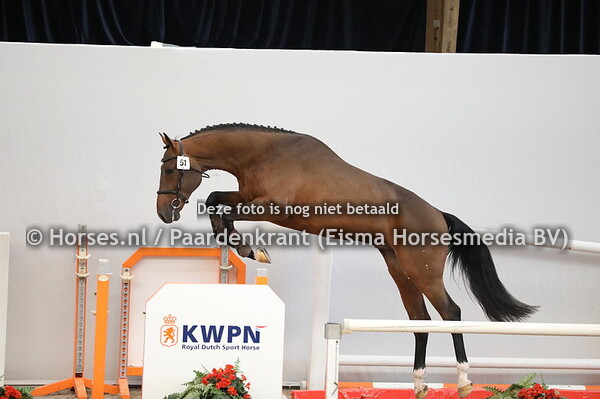 51 Comthago x Guidam