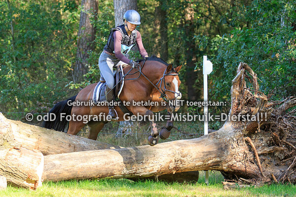 SGW Bollert Brons, Gelselaar 14-09-19