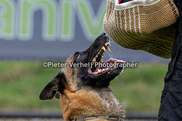 Peter Haslinghuis met Arrack's Home Zeno