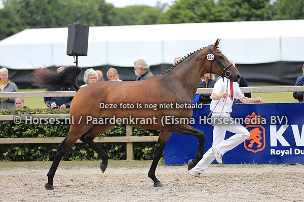 138 Luronia v Gotcha Utopia