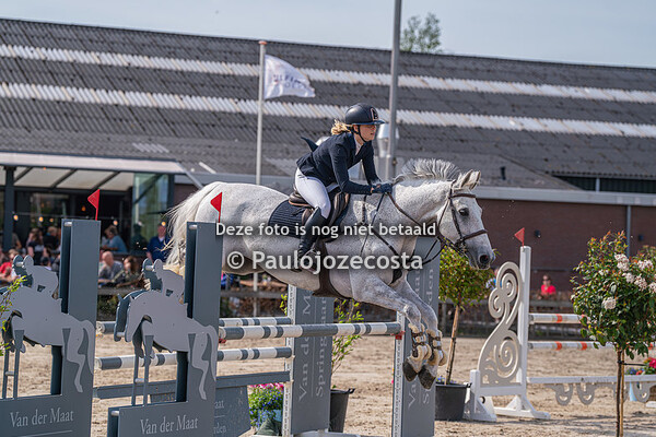 Zilfias 110cm 13/04/2024