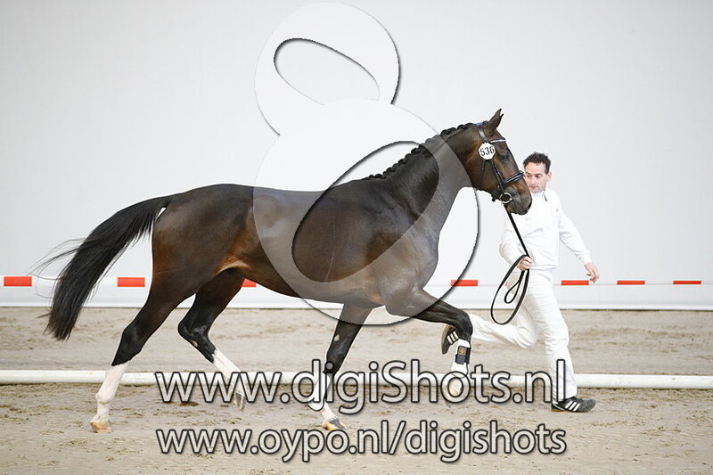 536 Lets Go v. Negro