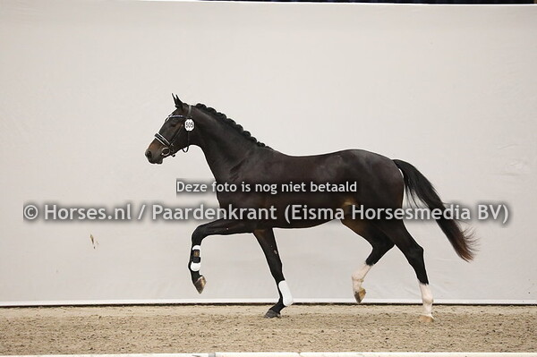 505 Jay Destino x Cadans M