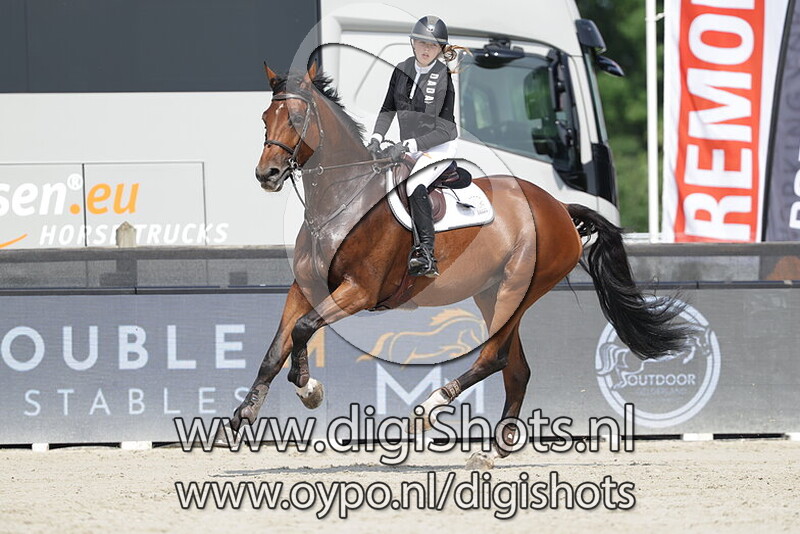 Rock and Roll de Regor VdhÂ 