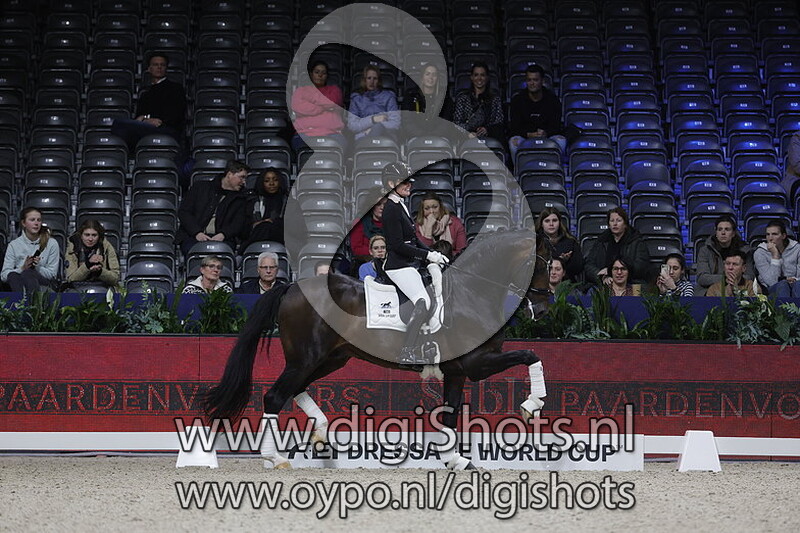 My Blue Hors Santiano