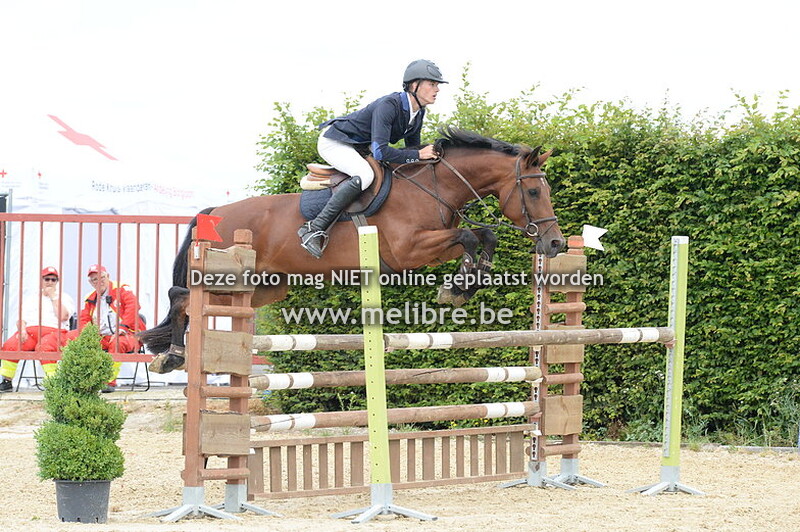 Seniors BVL Namiddag