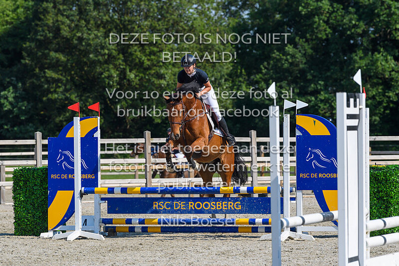 3 Klasse Paarden 80cm