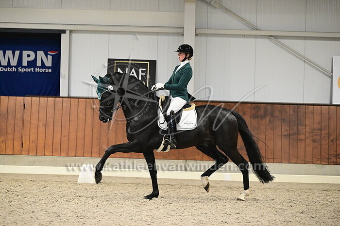 Aure Spleeters - Theo VI