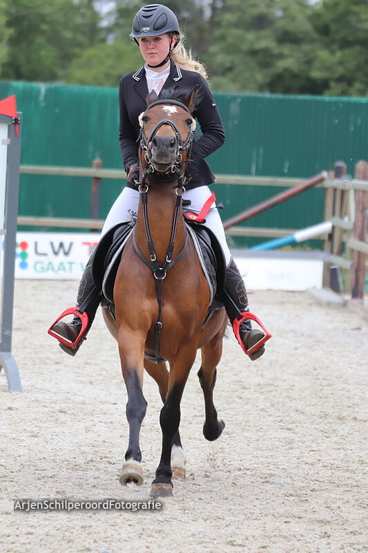 Hippisch Festijn PSV Polarfürst 26-05-2019 L DE 1e