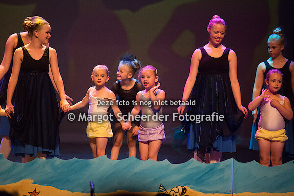 15. Zwemmen met dolfijnen vrijdag