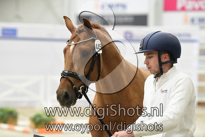 Romeo v. Lantanas - 445