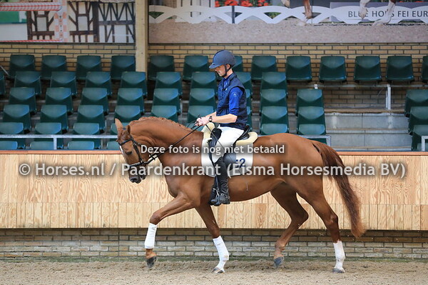 52 Labello TC v Don Tango B