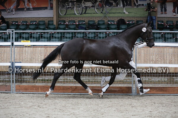 308 Miekerose (Wynton x Torose v. Ferro) (1)