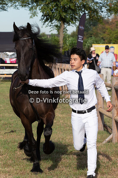 53. Gys ulke van Pommeren