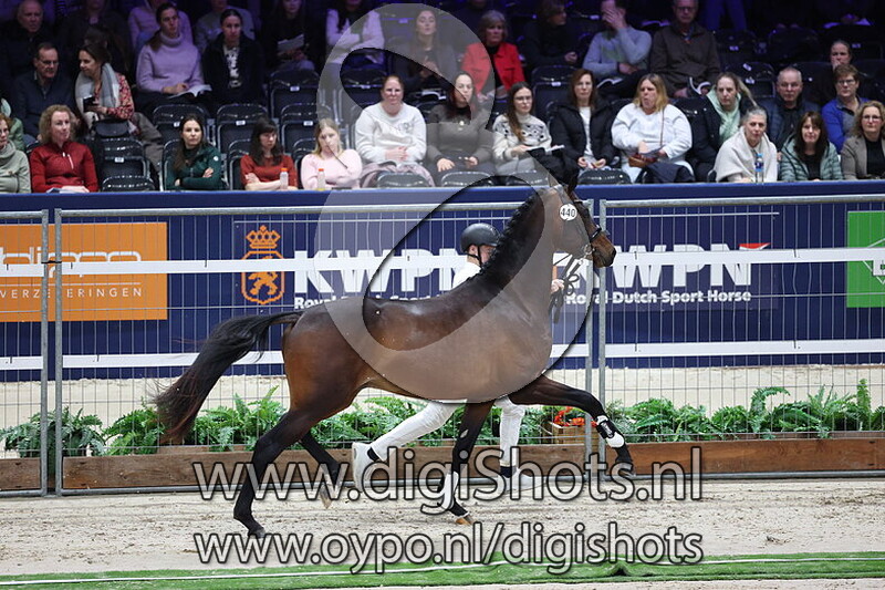 Sirendo KH v. McLaren