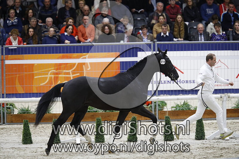 Livius v. High Five US