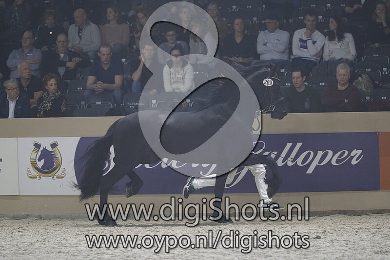 Alco van de Demro stables