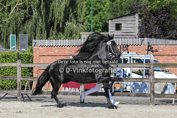 110. Elske van Weelde