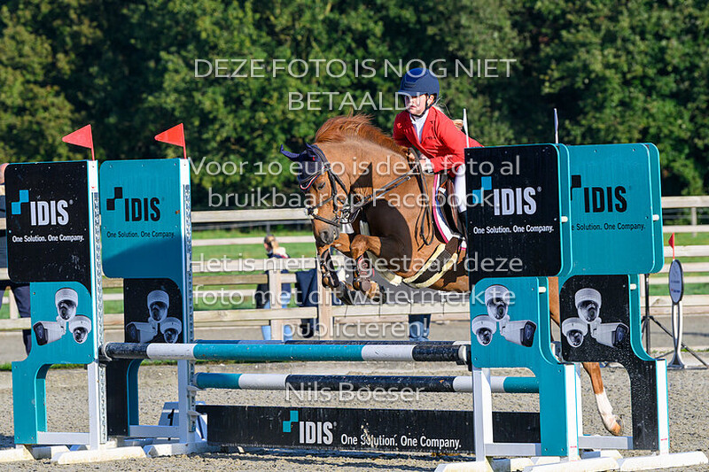 2 Pony's Klasse 80cm