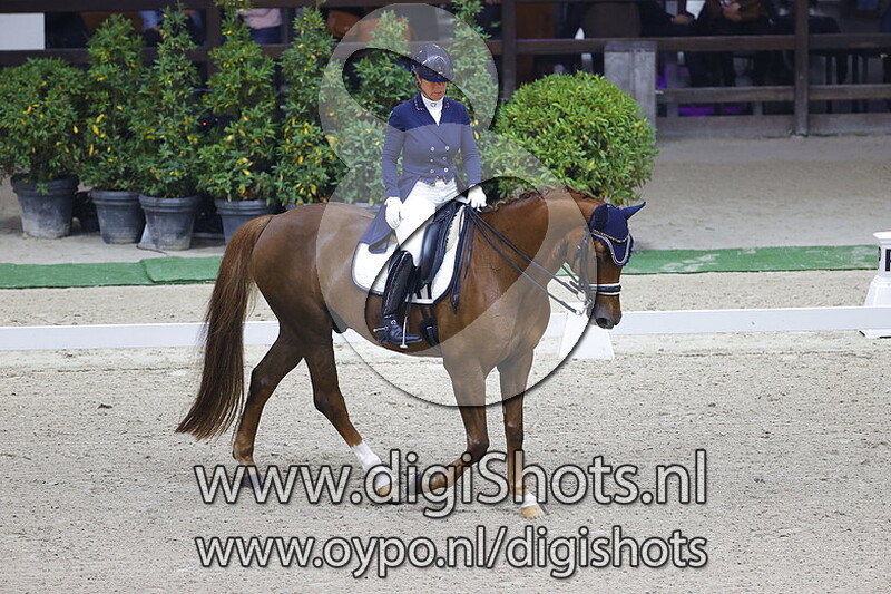 Cordillio van de Kempenhoeve