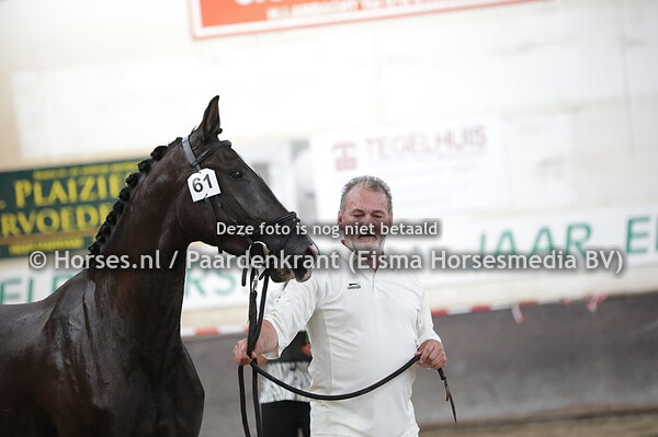 61  Mass T van de reigersvliet (Glock's Toto jr x vanity v. Jazz)