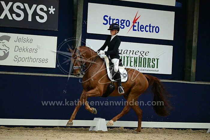 Evi van Rooij - Newton