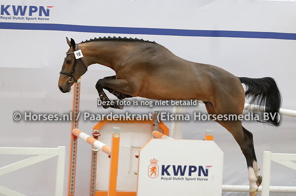 18 Cupido fan SK Lenboarch (Ceasar x Grandorado TN)