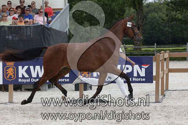 Purple Zelma Norel v. Expression