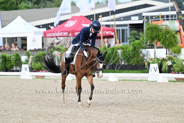 Vanity Hus - Goldwinshoeve Vuego