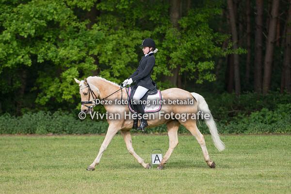 Ponyconcours Wittenhorst Horst