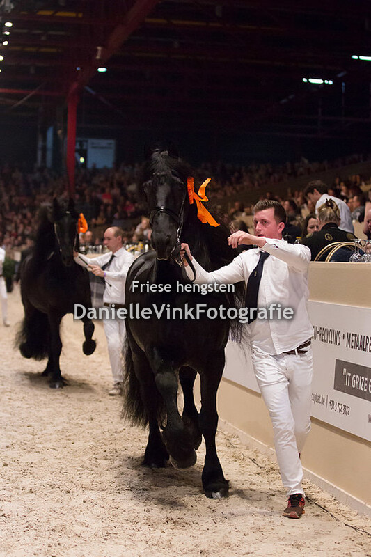 Hengstenkeuring 2018 Jorn 430