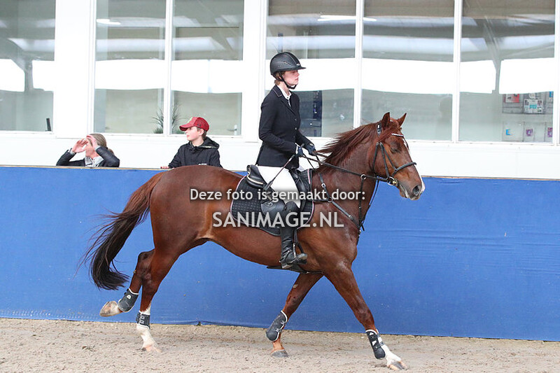 De Voornruiters de Meern  Springen 04-03-2022 M