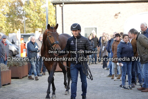 35 Power Dancing (Glamourdale x Johnson)