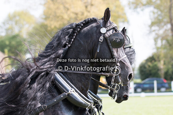 18. Tweespan Regionaal