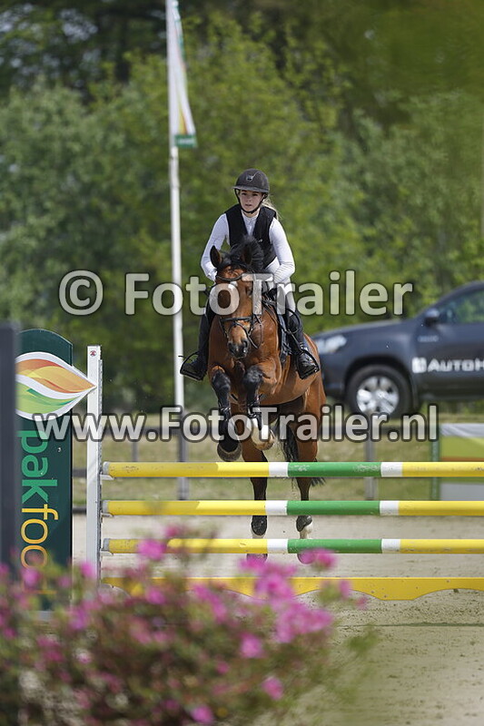 ashley spiele te wierik