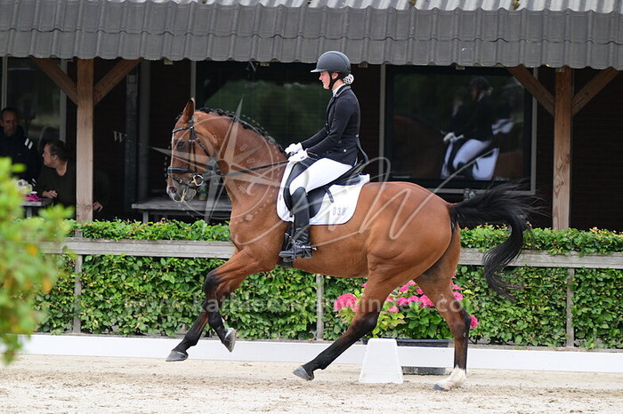 Kim Schooneman - Amigo