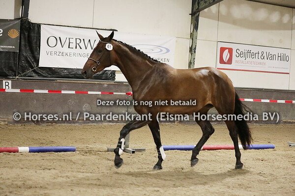 61 Osinosa (Taminiau x Bisnosa v. Trento B)