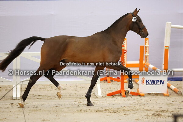 106 Speedy (La Costa x Labarella v. Falaise de Muze)