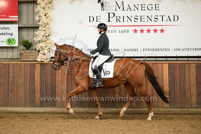 Mara den Uijl - Samoerai