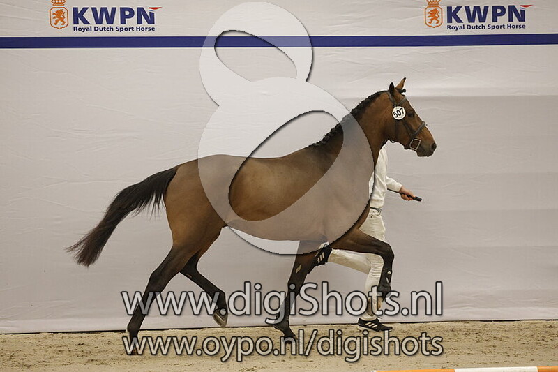 Surprise by Sunrise v. Total Hope