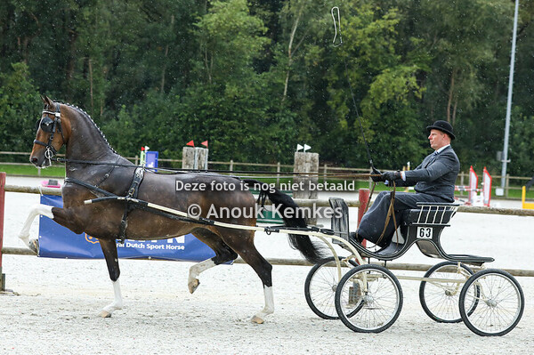 Pylie ( Icellie x Unieko ) Alternatieve Ibop